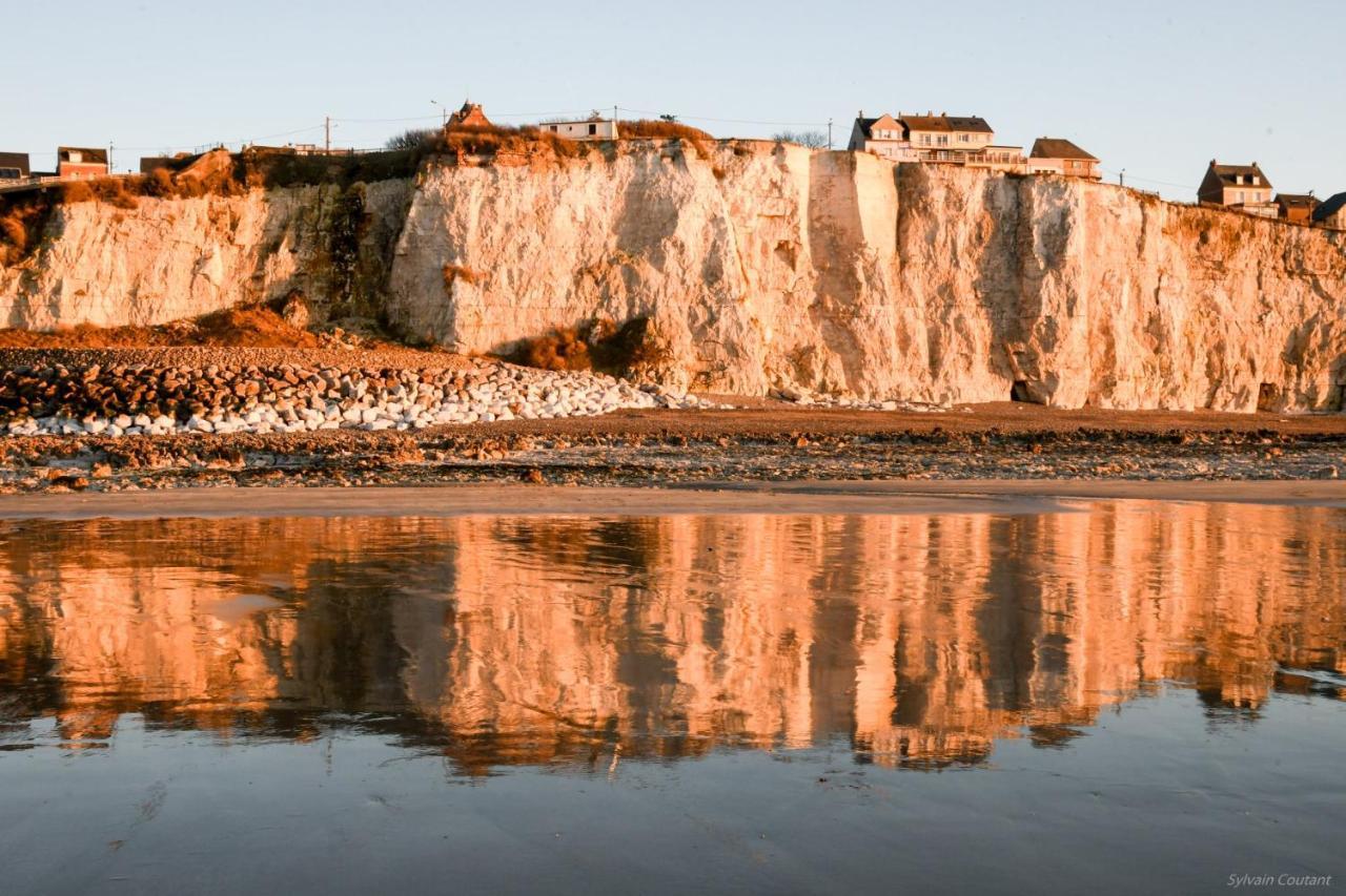 Villa La Precieuse En Front De Mer Woignarue Dış mekan fotoğraf